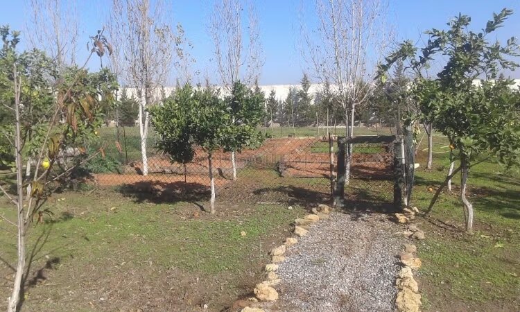 مزرعة 10000 متر مربع للبيع في الرباط — Photo 15
