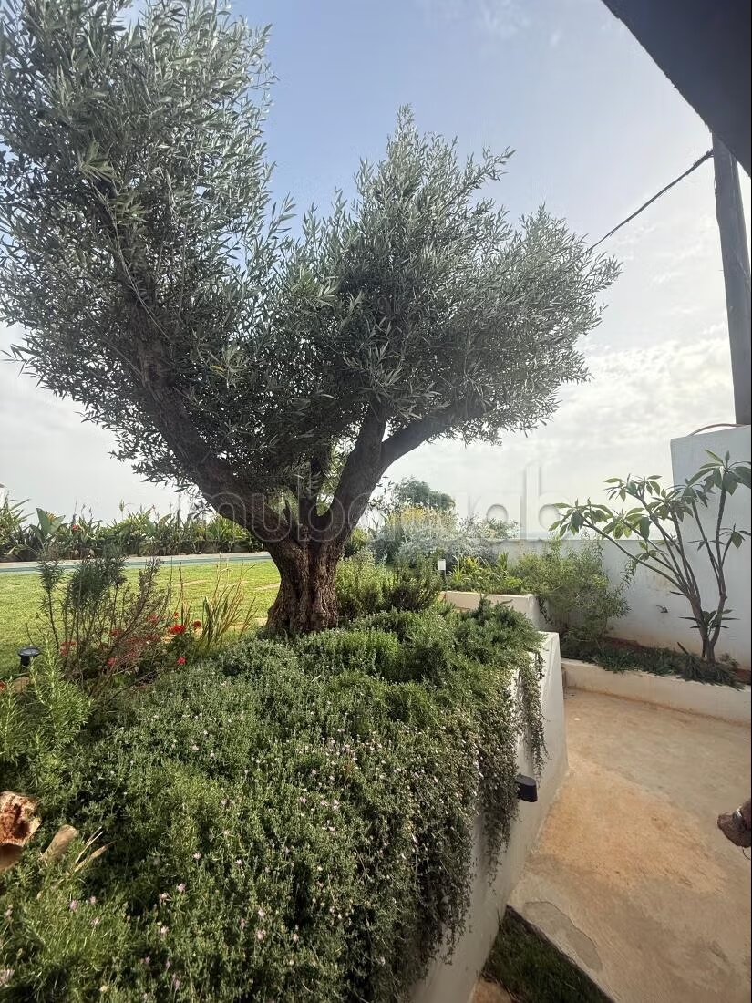Villa 600 m² for Sale in Tangier — Photo 50