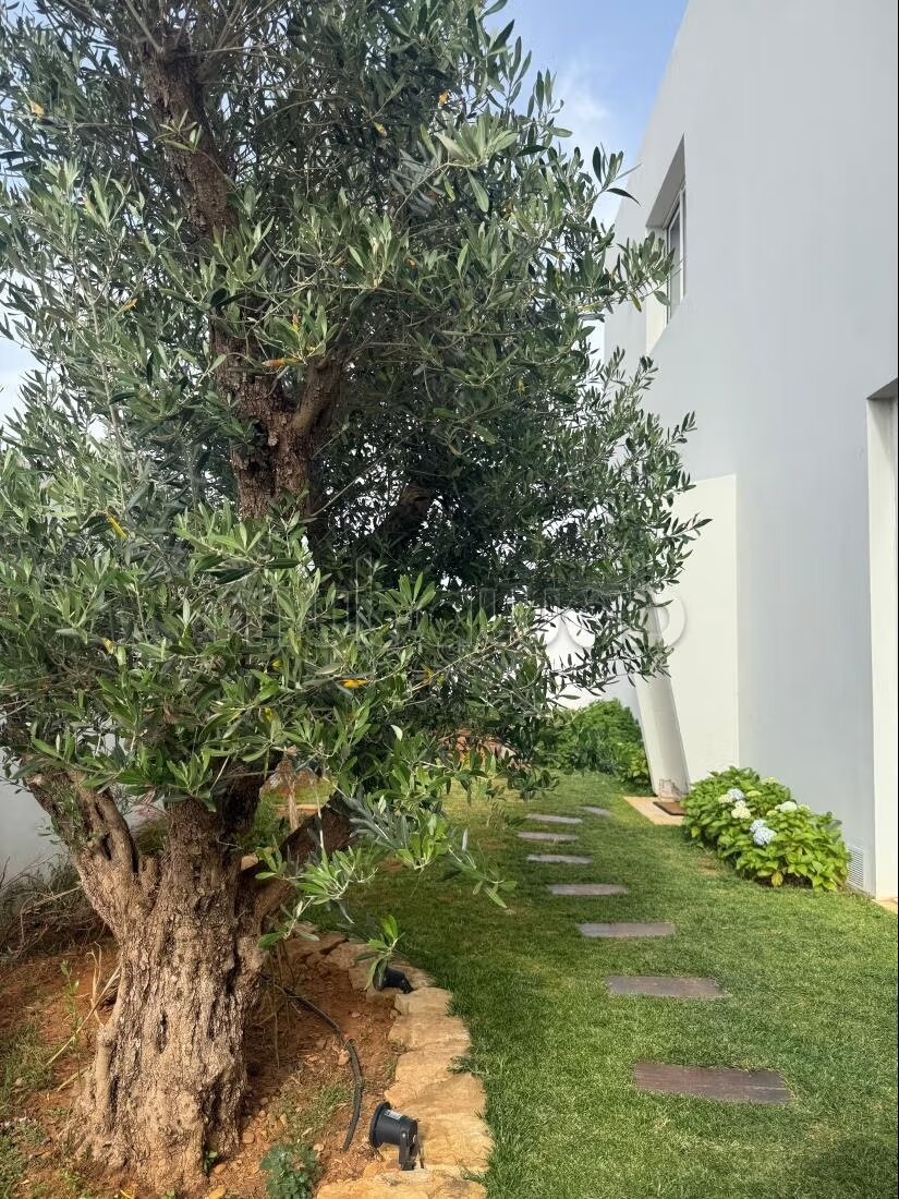 Villa 600 m² for Sale in Tangier — Photo 45