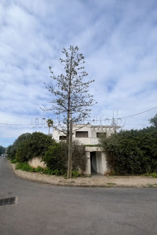 Luxury Villa for Sale in Californie, 360 m² — Photo 48