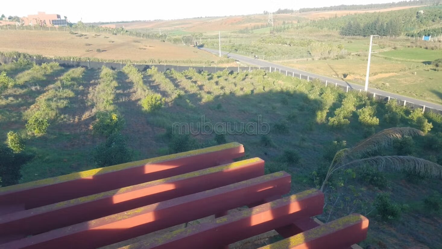 مزرعة 131 متر مربع للبيع في القنيطرة — Photo 9