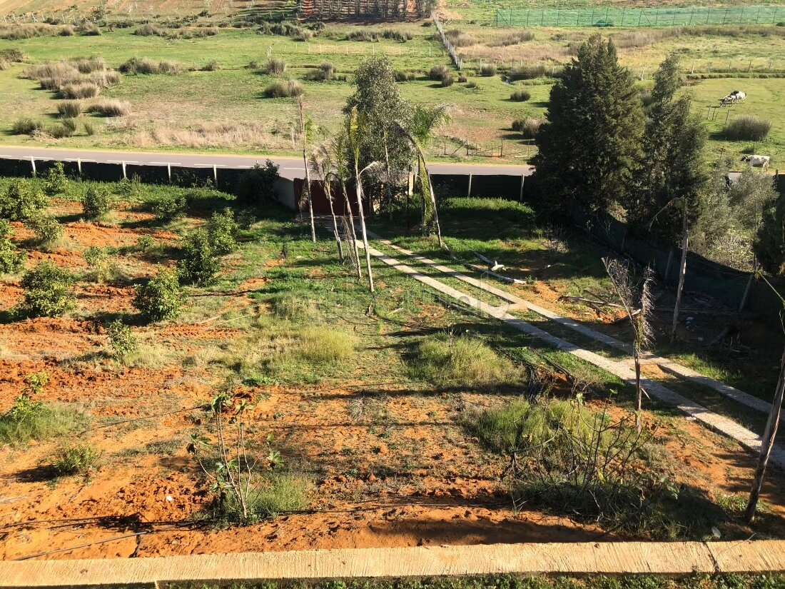 مزرعة 131 متر مربع للبيع في القنيطرة — Photo 13