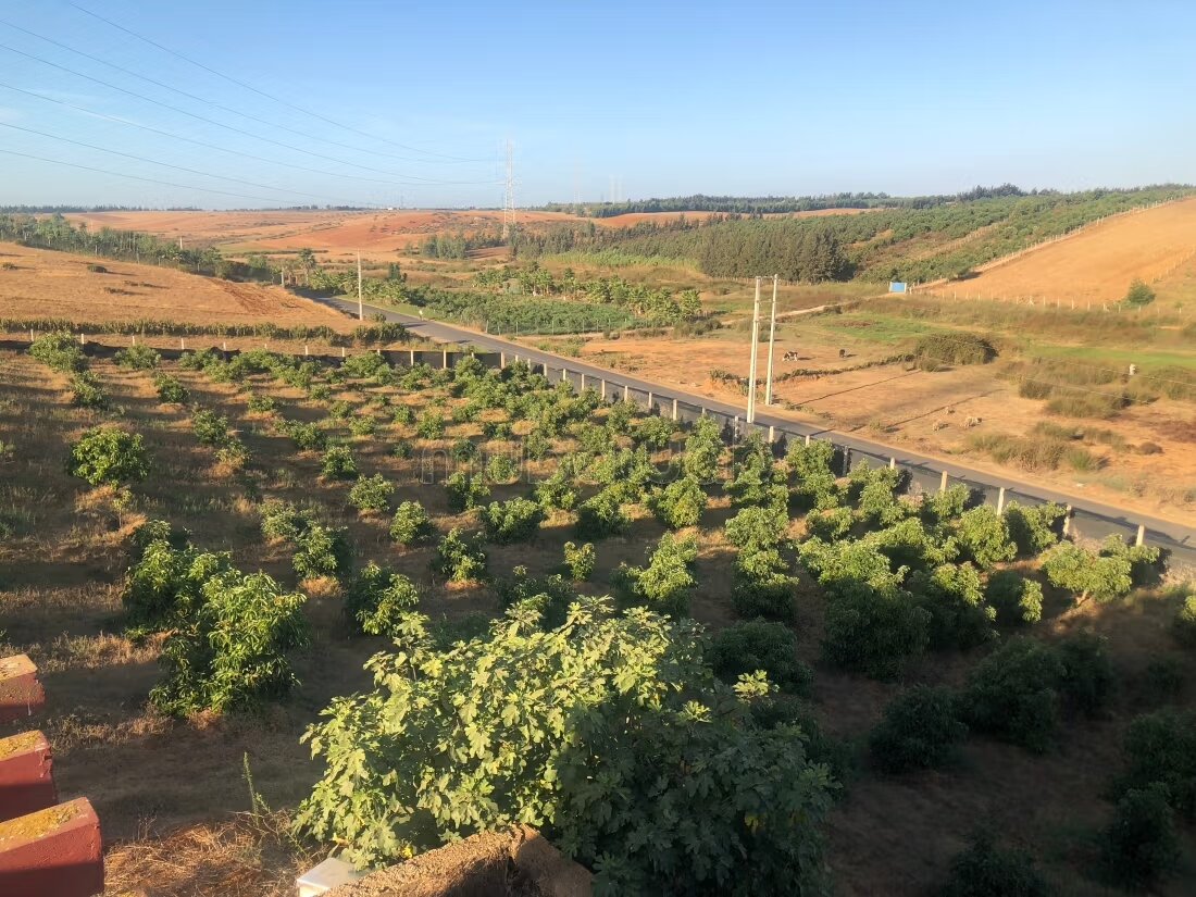 مزرعة 131 متر مربع للبيع في القنيطرة — Photo 26
