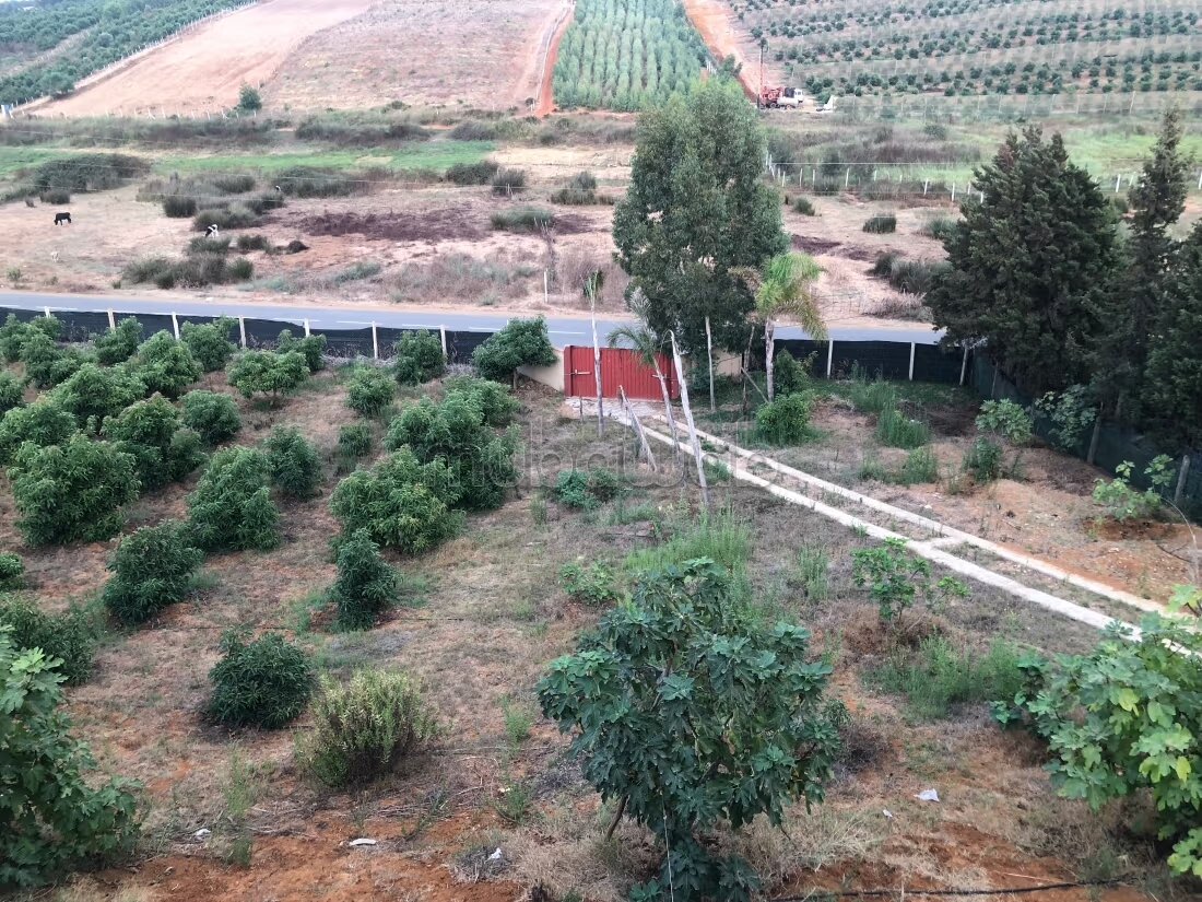 مزرعة 131 متر مربع للبيع في القنيطرة — Photo 28