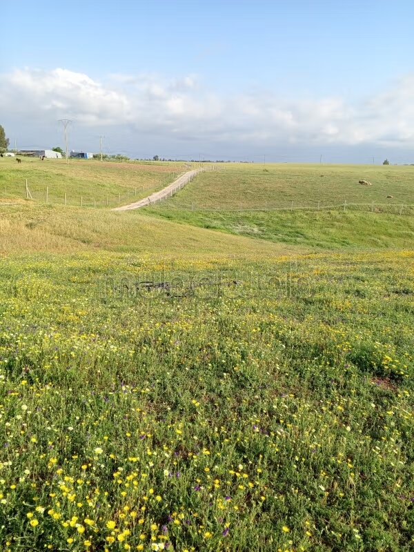 Terrain 100 m² à vendre à Tifelt – Lotissement Ait Malek — Photo 20