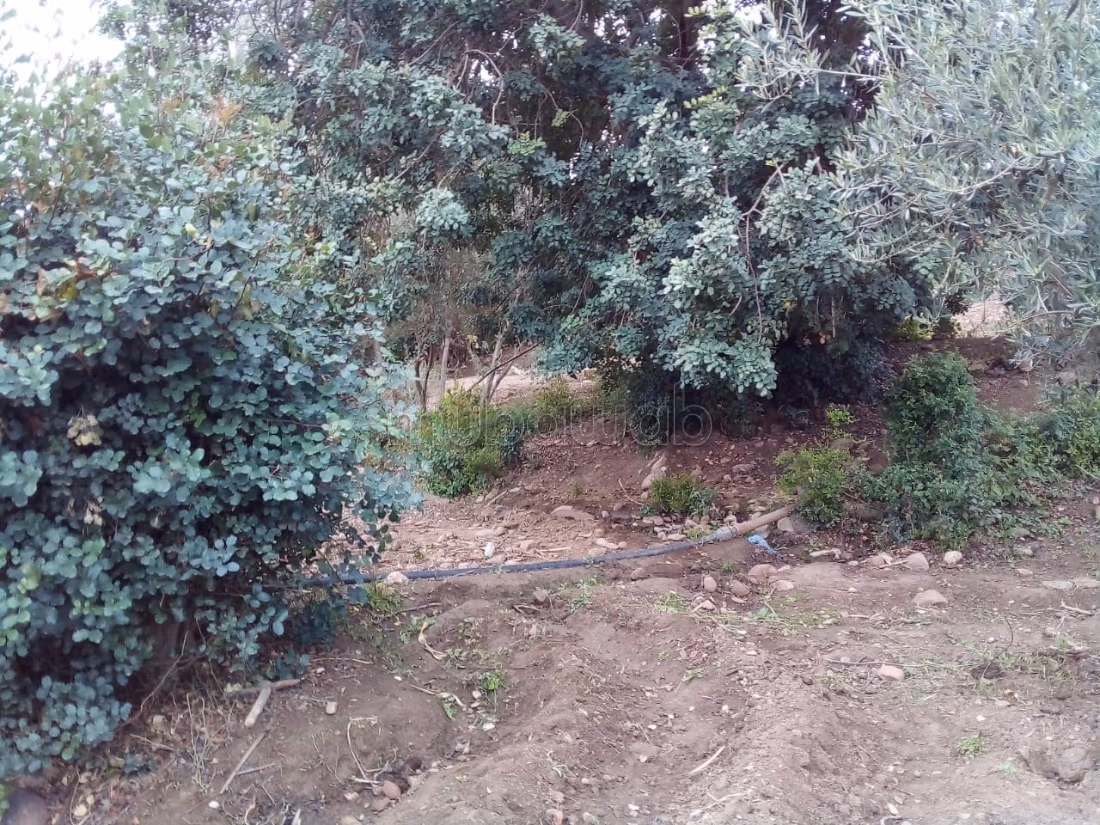 Ferme 5500 m² à louer à Lalla Takarkoust — Photo 8