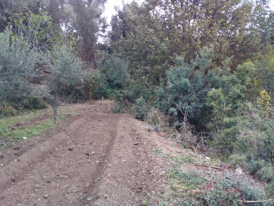 Ferme 5500 m² à louer à Lalla Takarkoust — Photo 14