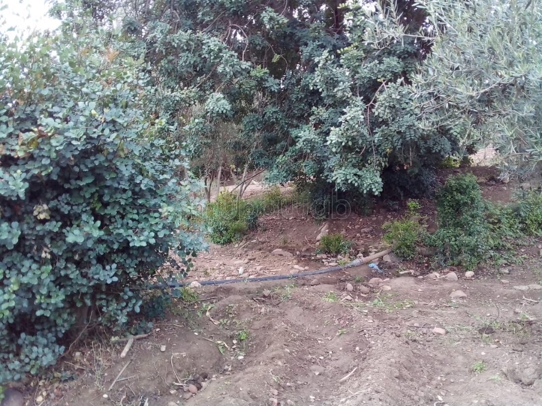 Ferme 5500 m² à louer à Lalla Takarkoust — Photo 7