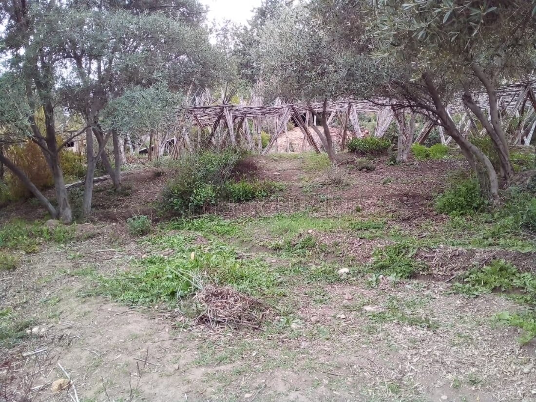 Ferme 5500 m² à louer à Lalla Takarkoust — Photo 9