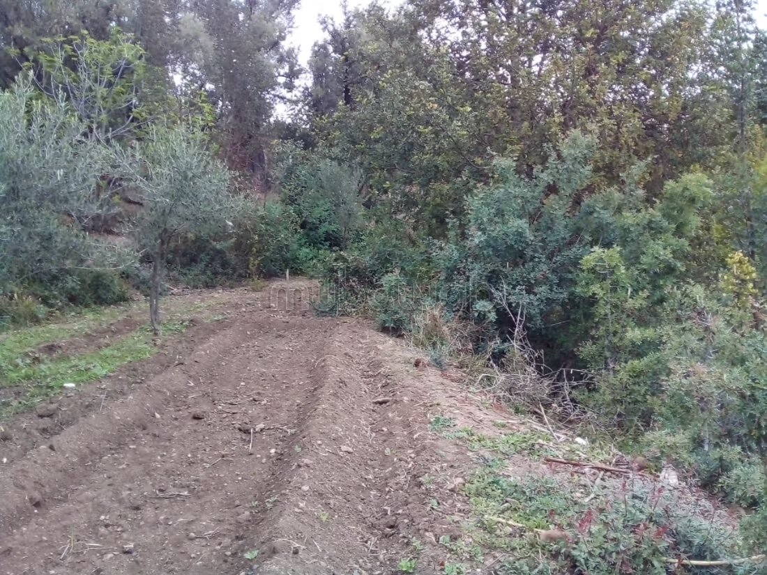 Ferme 5500 m² à louer à Lalla Takarkoust — Photo 13