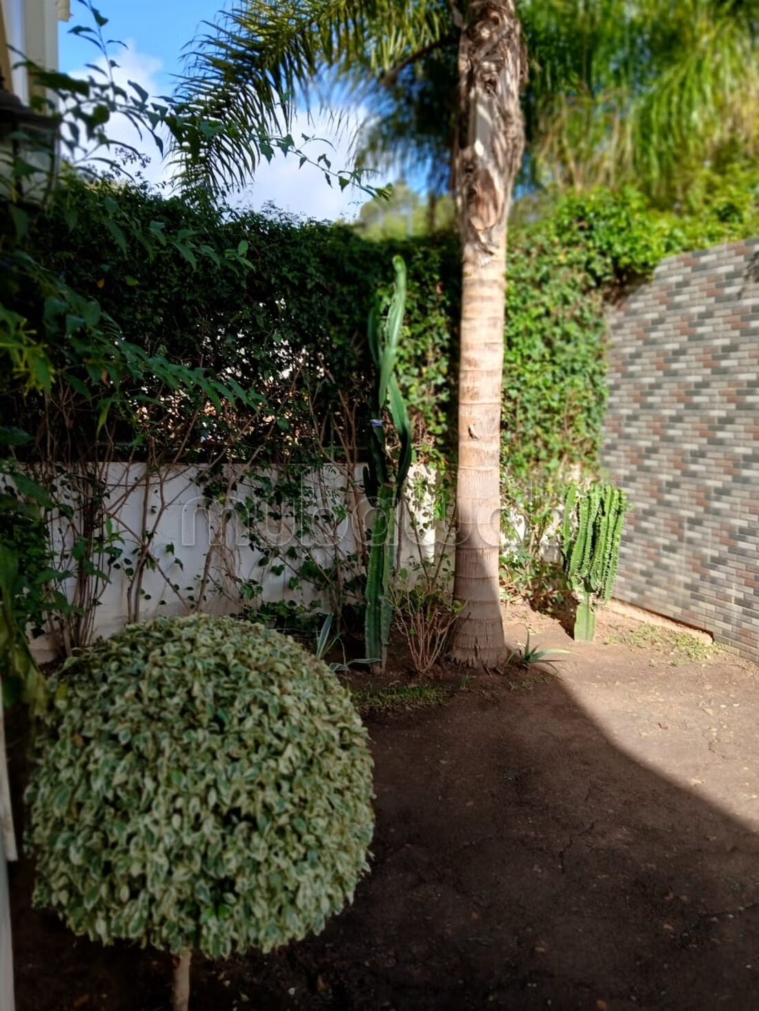 Appartement 180 m² à louer à Tanger — Photo 7