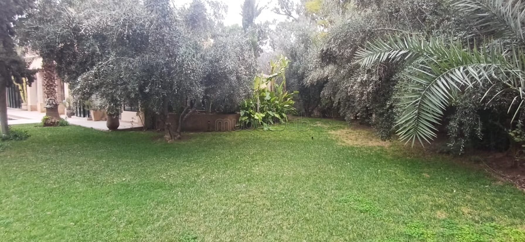 فيلا ٥٥٠م٢ للإيجار في مراكش — Photo 327