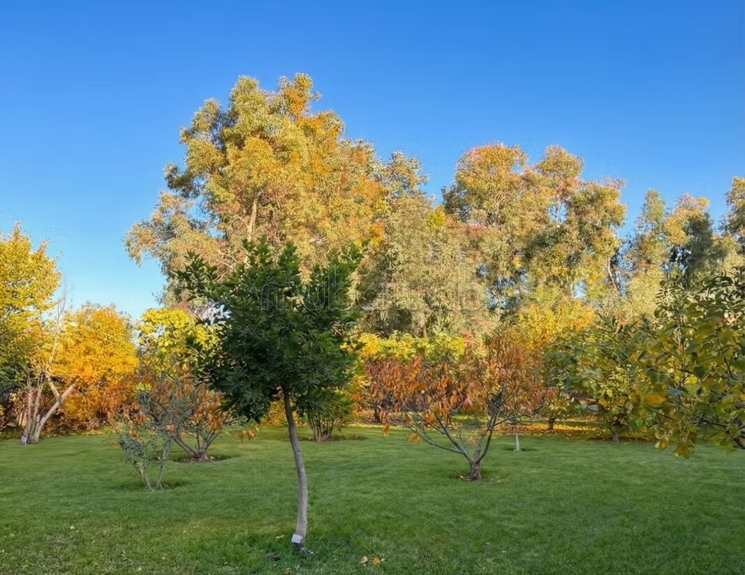 Villa 400 m² à louer à Marrakech — Photo 319