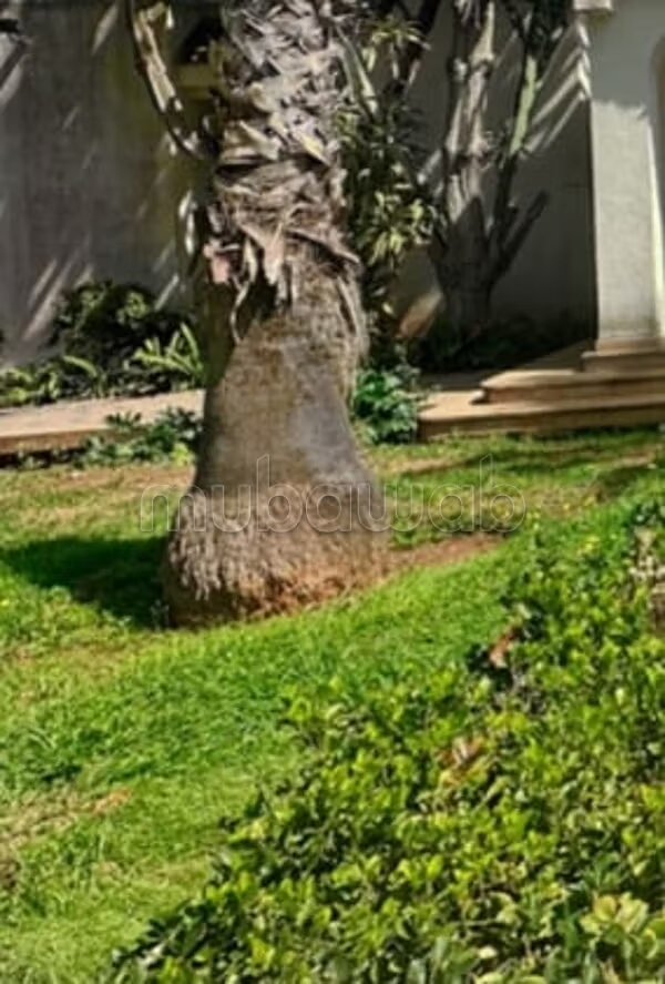 فيلا 930 م² للبيع في الرباط – المنزه — Photo 7