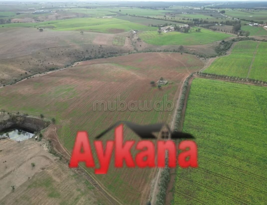 Ferme 568000 m² à vendre à Casablanca — Photo 8