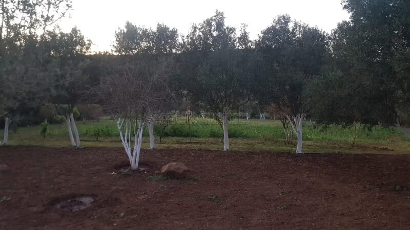Ferme 568000 m² à vendre à Casablanca — Photo 12
