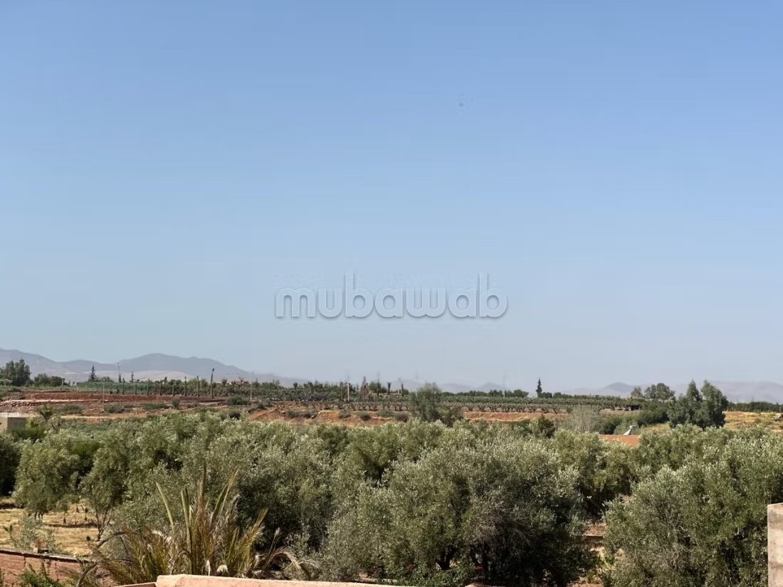 Villa for sale 534 m² in Marrakech — Photo 4