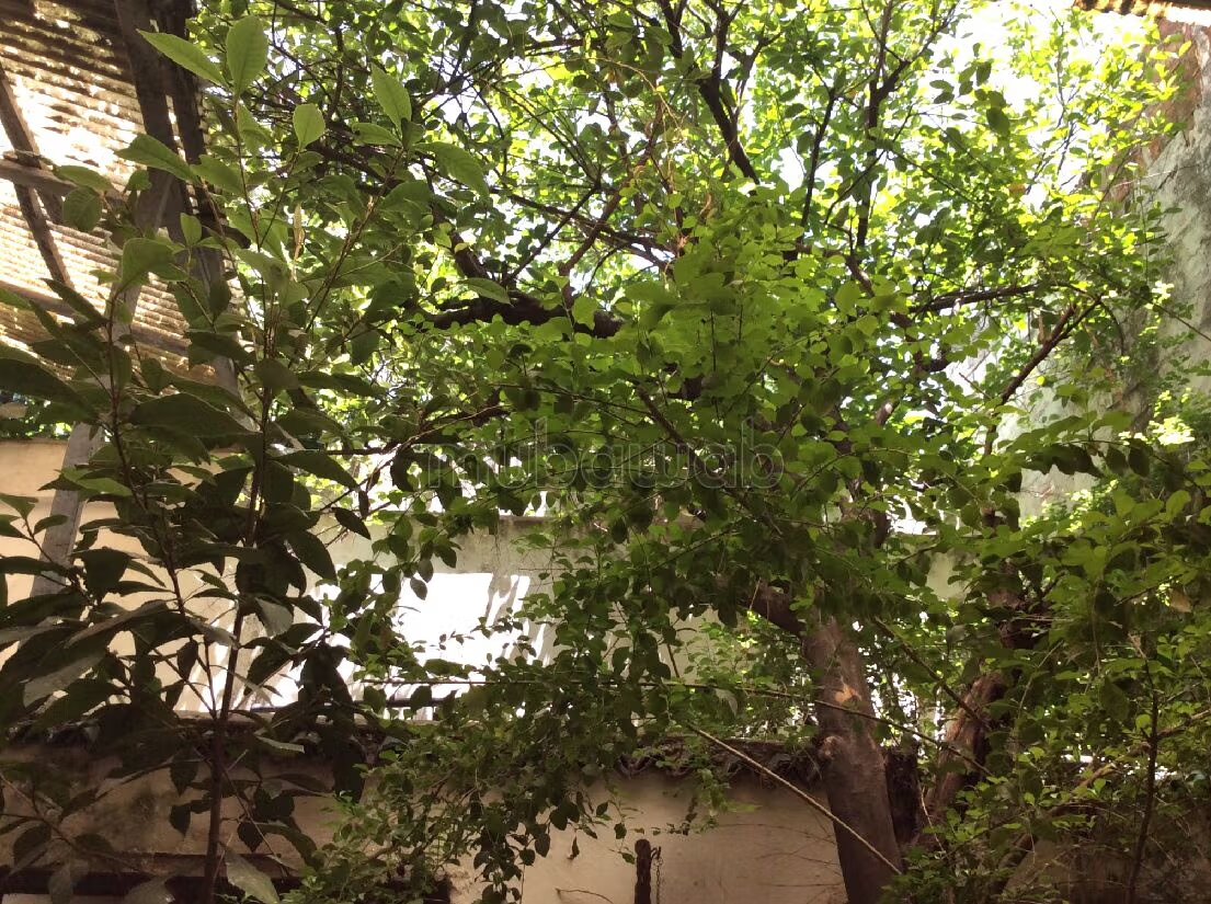 Riad 390 m² for Sale in Fès — Photo 79