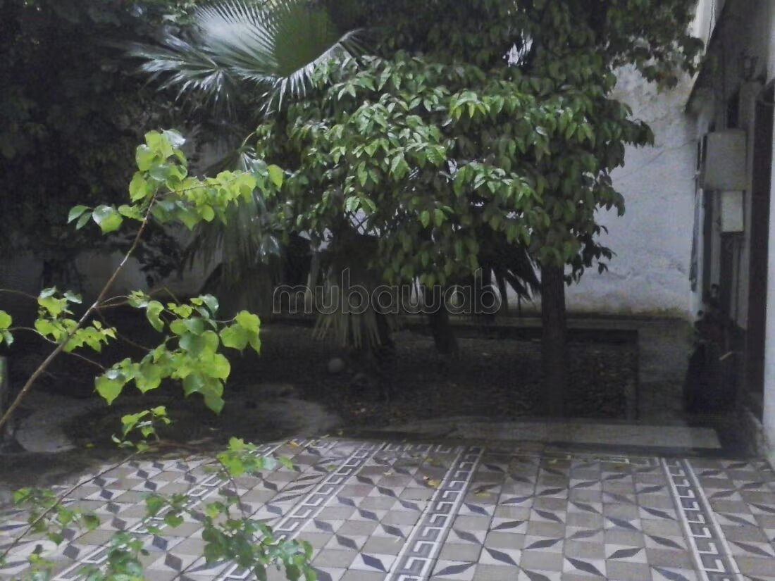Riad 390 m² for Sale in Fès — Photo 500