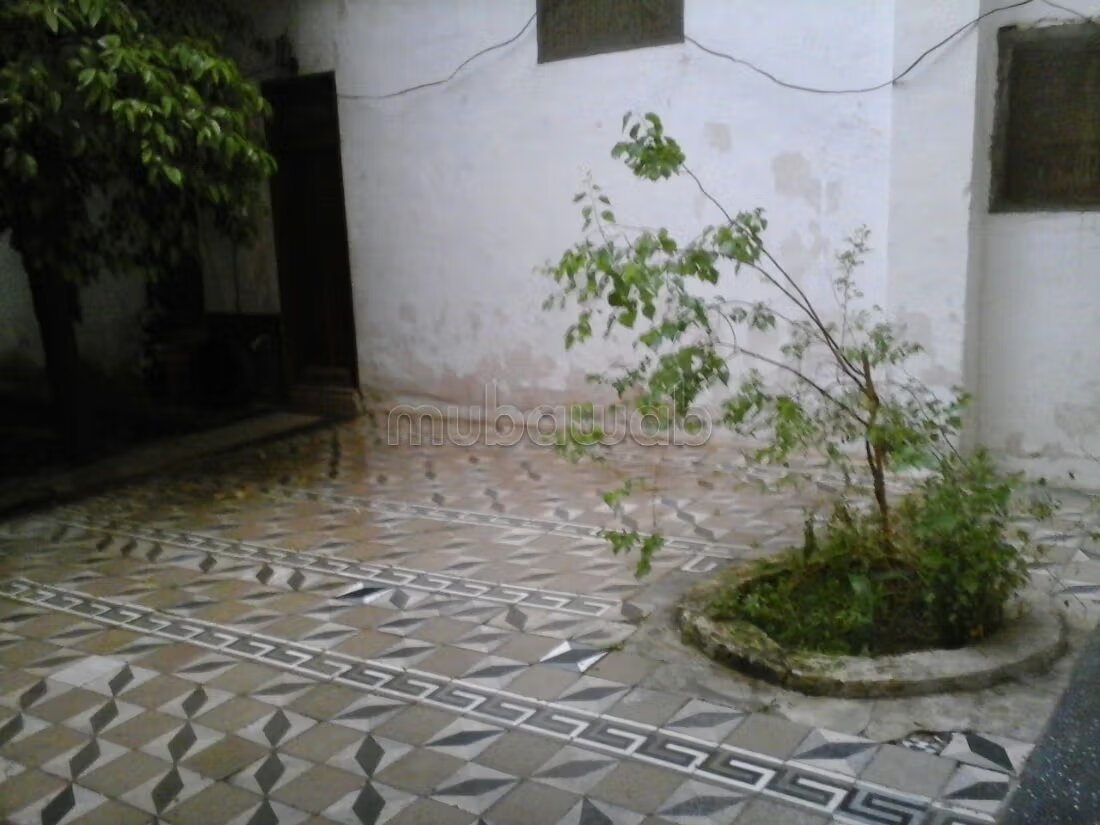 Riad 390 m² for Sale in Fès — Photo 504