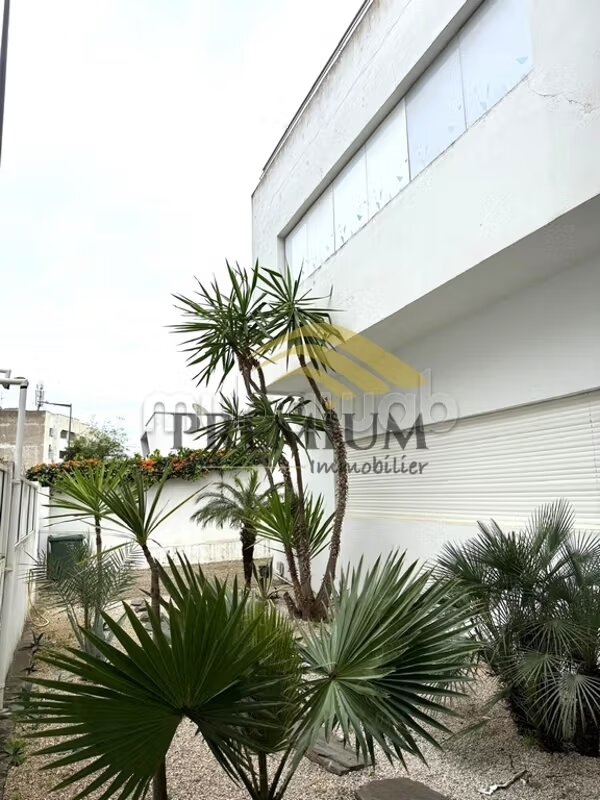 مكتب 480 م² للإيجار في أكدال، الرباط — Photo 8