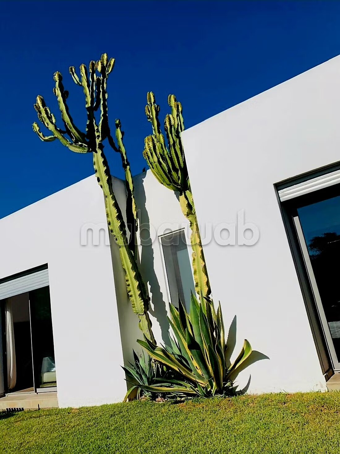 فيلا 360 م² للبيع في الدار البيضاء — Photo 11