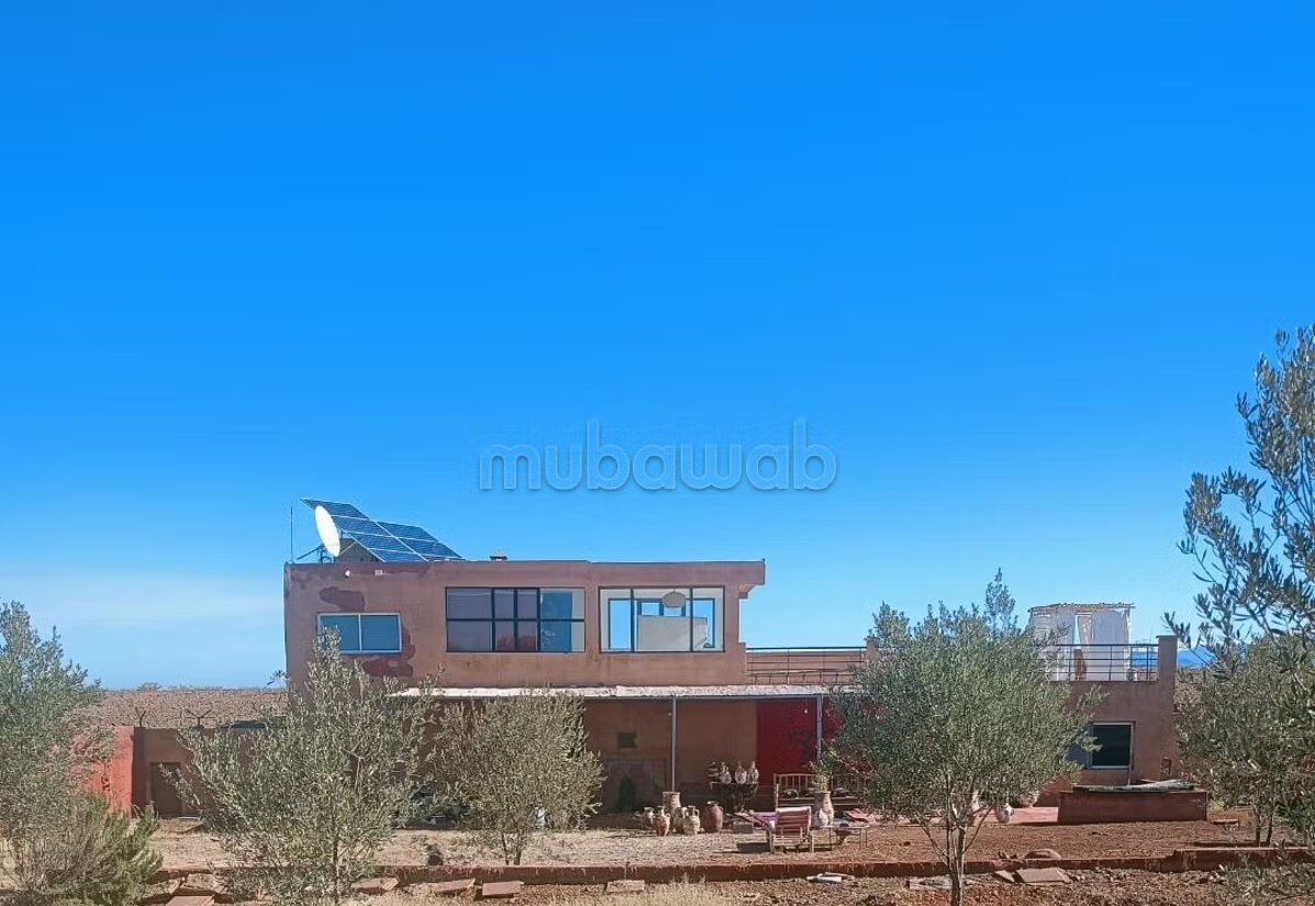 مزرعة 11200 متر² للإيجار في مراكش — Photo 25