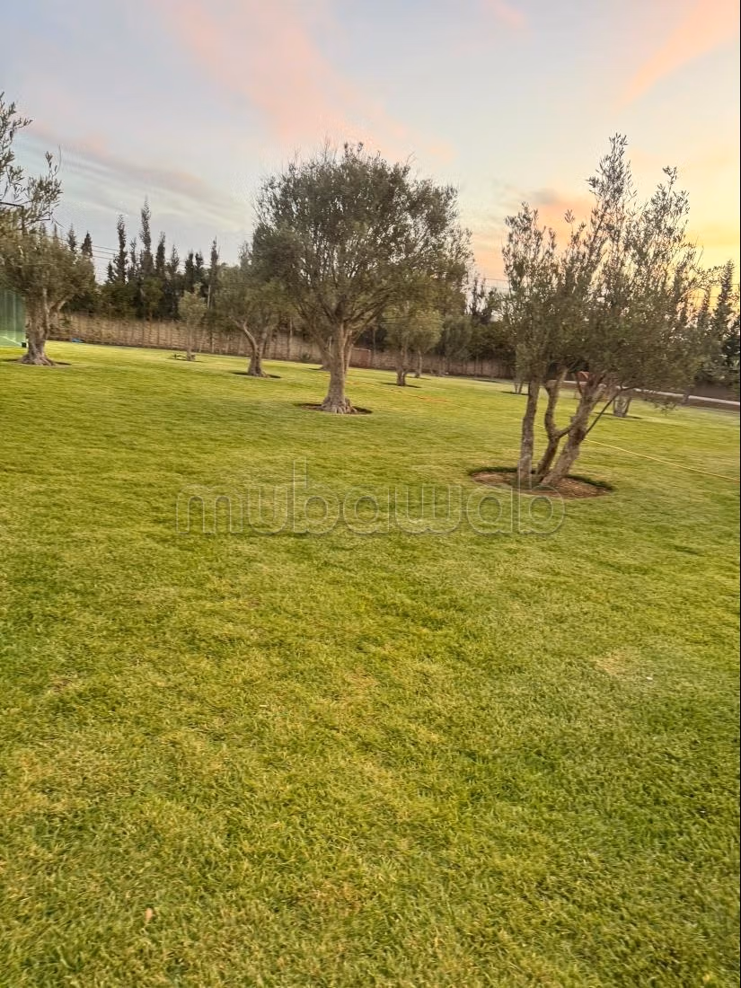 Villa 1500 m² à vendre à Essaouira — Photo 7