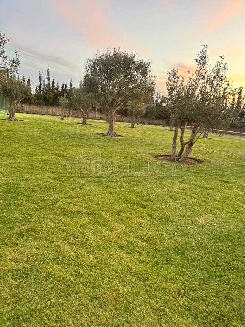 Villa 1500 m² à vendre à Essaouira — Photo 8