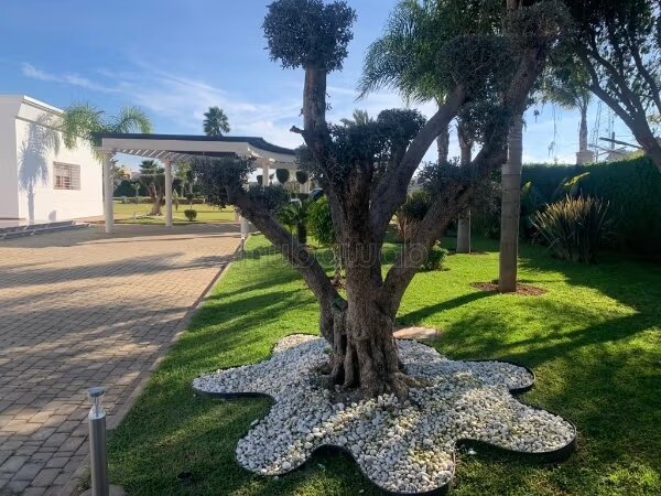 Villa 2600 m² à vendre à Rabat — Photo 60