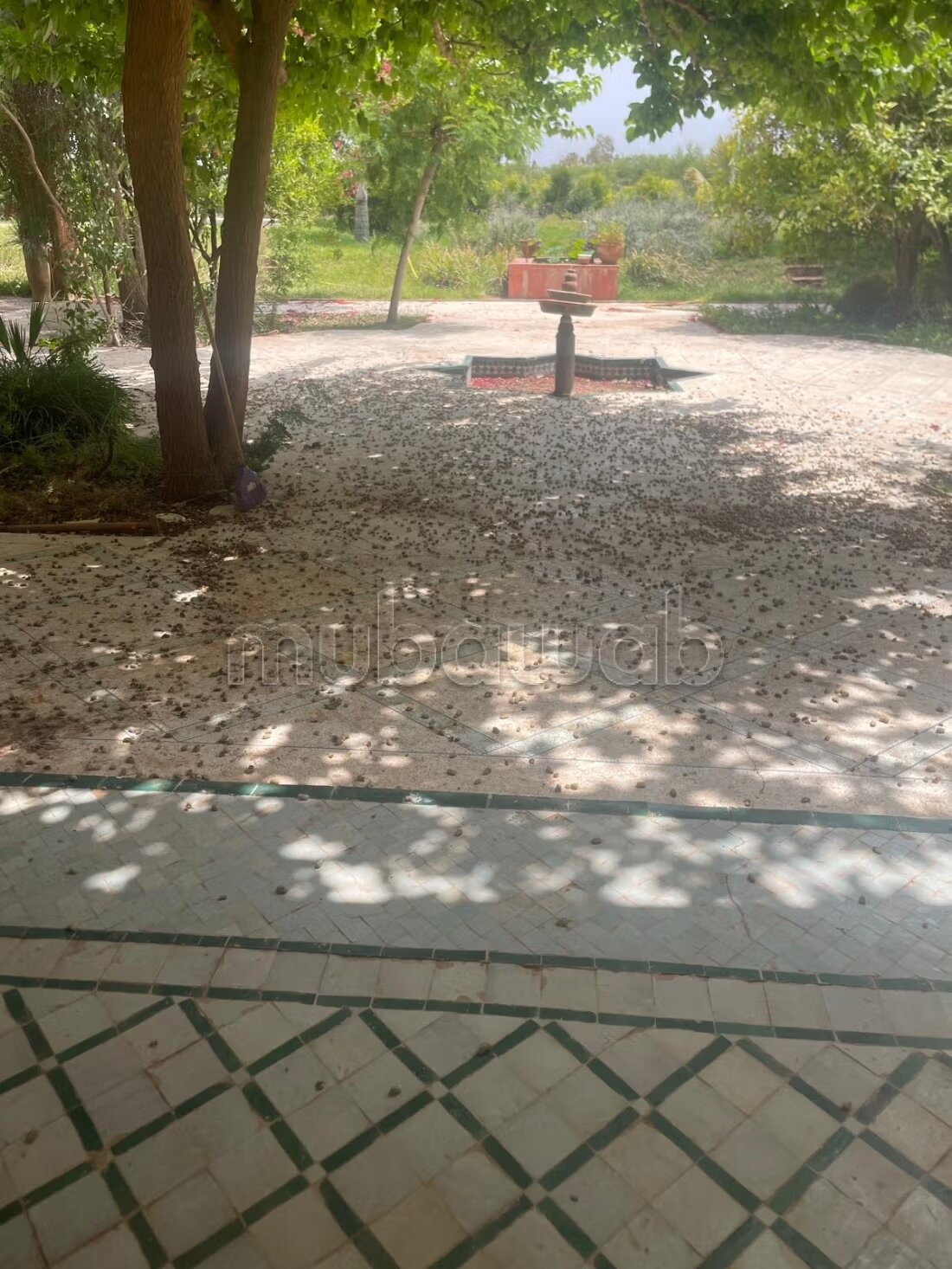 فيلا 780 متر مربع للبيع بمراكش — Photo 49