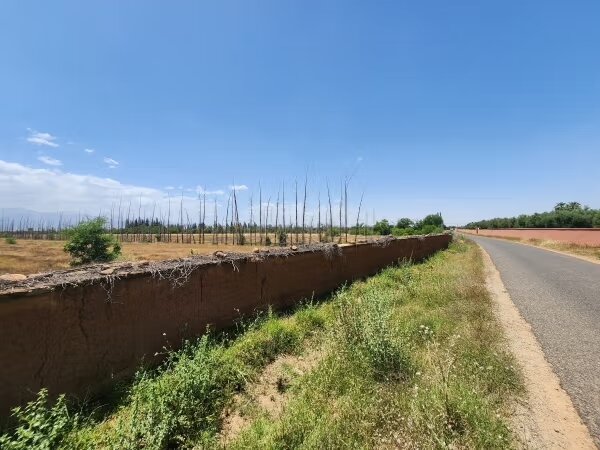 Terrain 60 000 m² à vendre à Marrakech — Photo 8