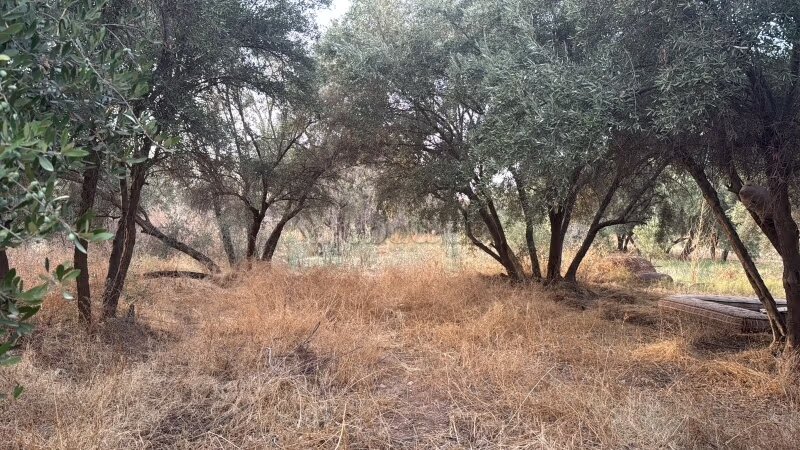 أرض 131 متر للبيع بمراكش — Photo 7