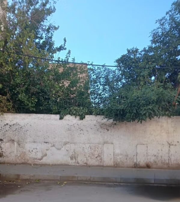 Terrain agricole de 30 000 m² à vendre à Fès — Photo 20