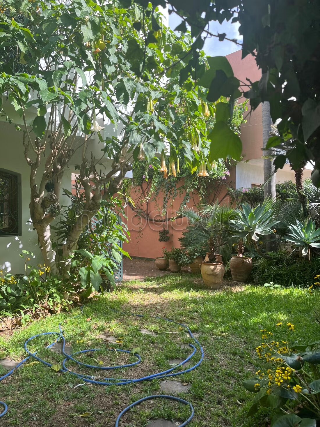 Villa 300 m² for rent in Casablanca (CIL, Hay Salam) — Photo 12