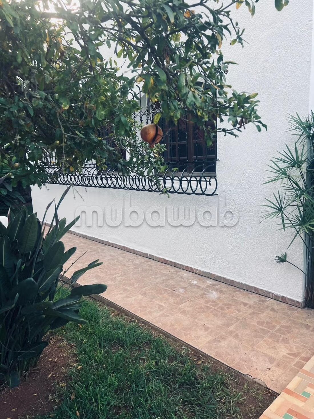 Villa 1500 m² à vendre à Rabat (Souissi) — Photo 16