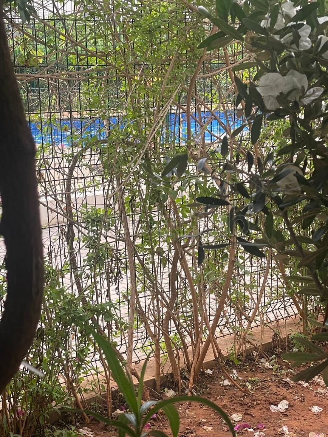 شقة 225 متر مربع للإيجار في الرباط — Photo 12