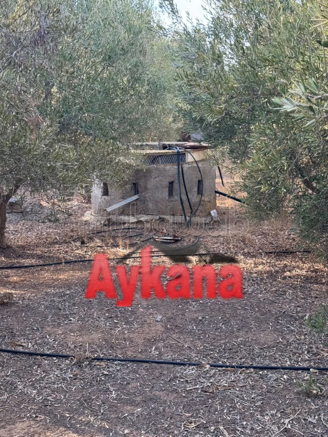 Farm 5000 m² for sale in Oum Azza — Photo 7