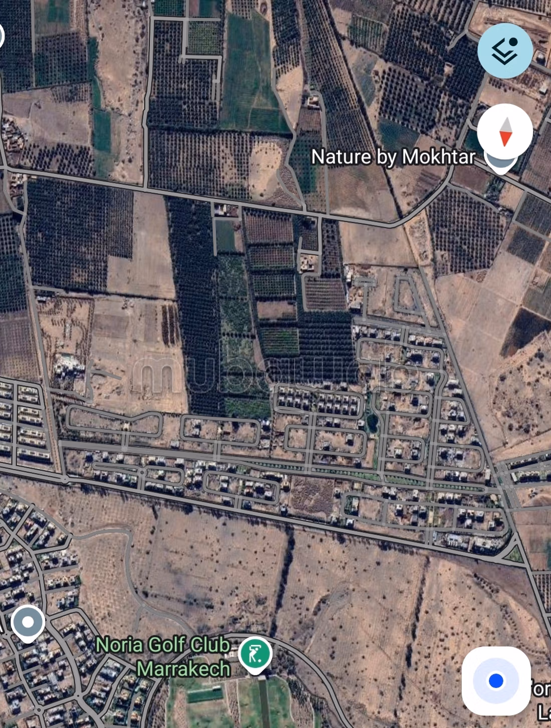 أرض 65000 متر مربع للبيع في مراكش — Photo 3