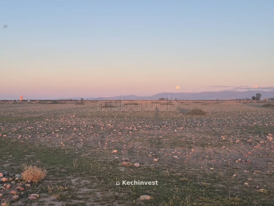 Terrain 10 000 m² à vendre à Marrakech — Photo 9
