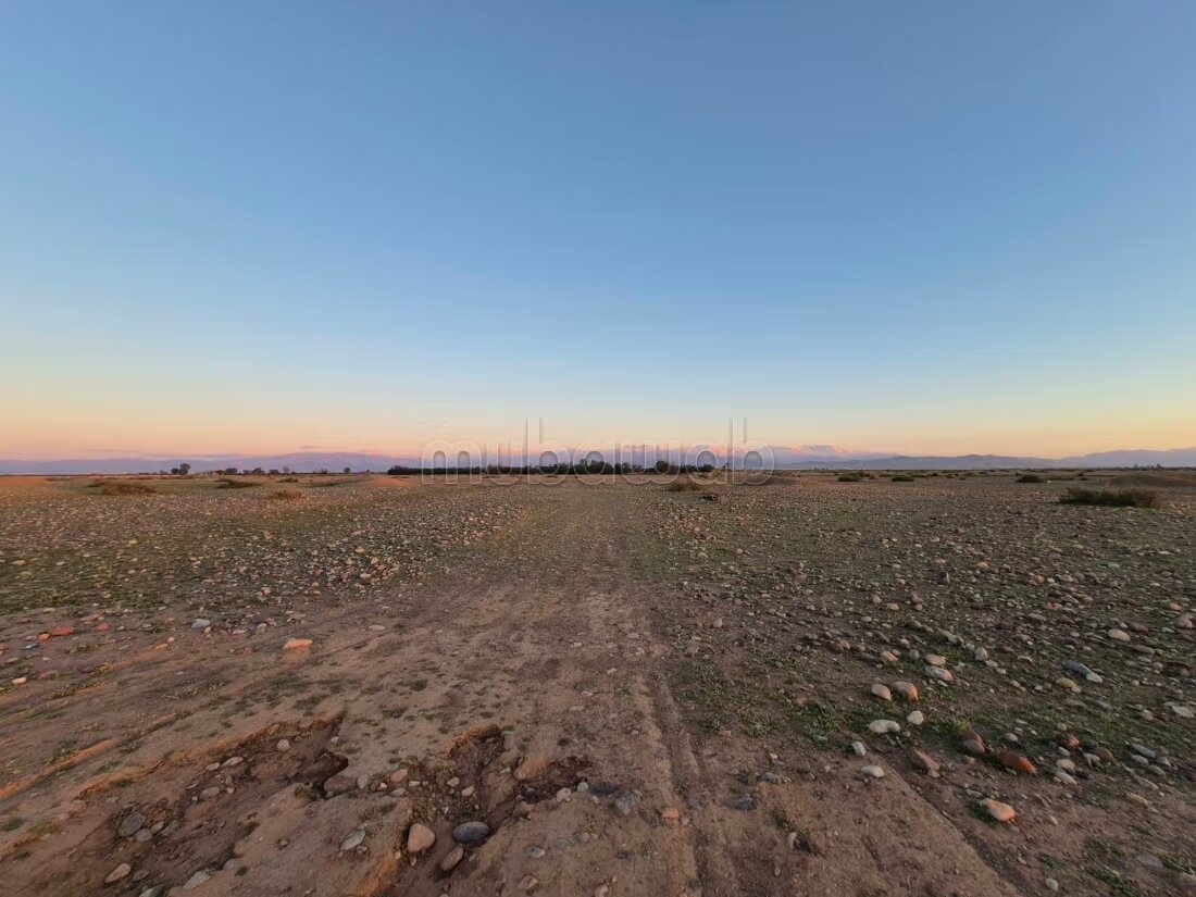Terrain 10 000 m² à vendre à Marrakech — Photo 13
