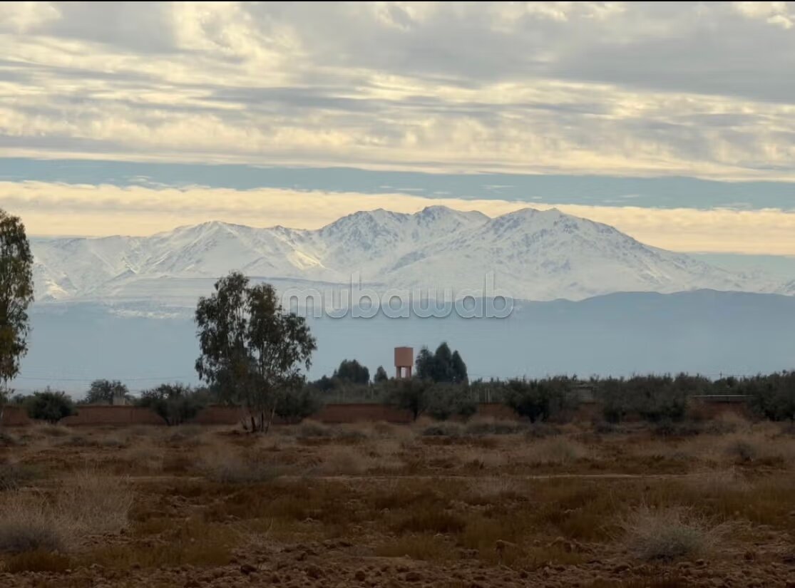 Land 54,411 m² for sale — Photo 2