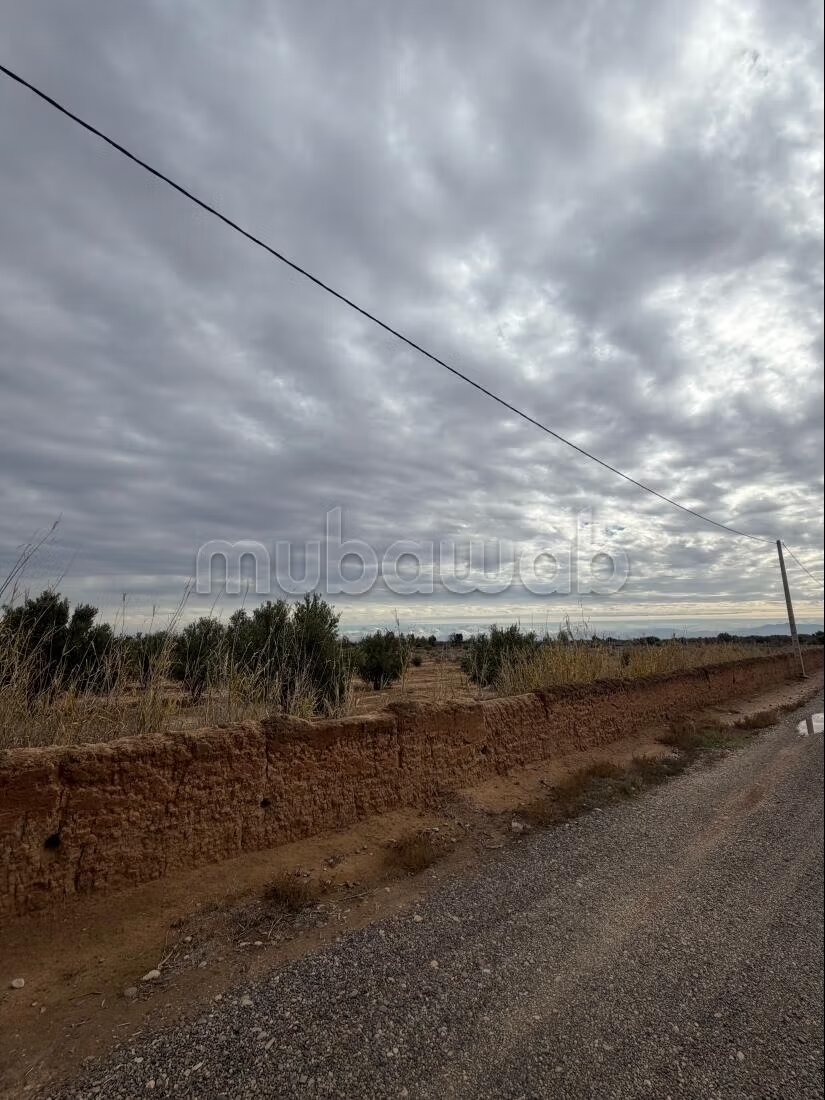 Land 54,411 m² for sale — Photo 10