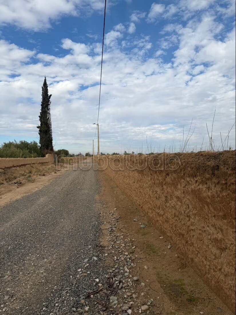 Land 54,411 m² for sale — Photo 7