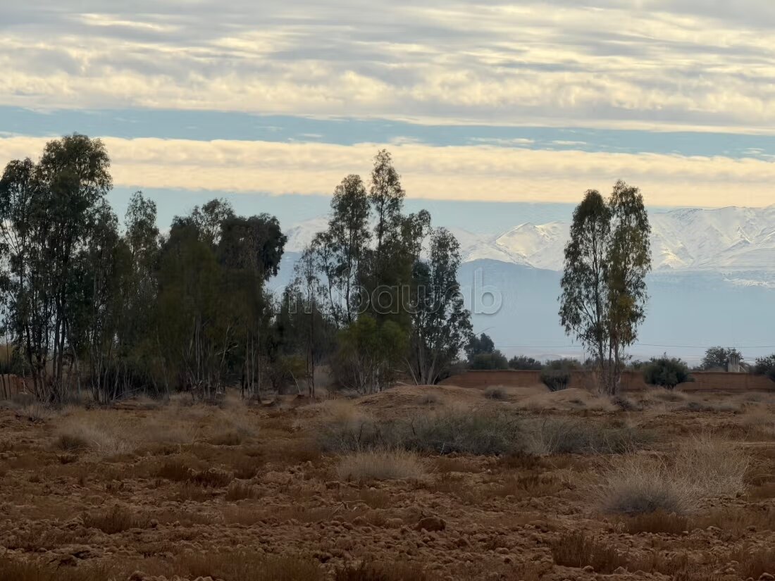 Land 54,411 m² for sale — Photo 11