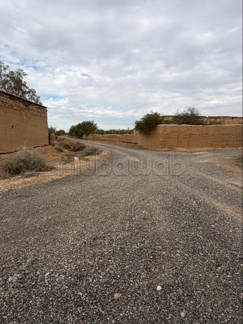 Land 54,411 m² for sale — Photo 13