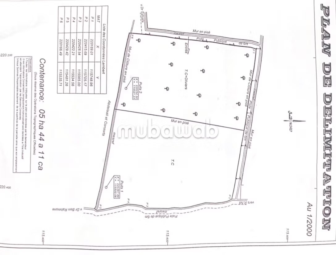 Land 54,411 m² for sale — Photo 15