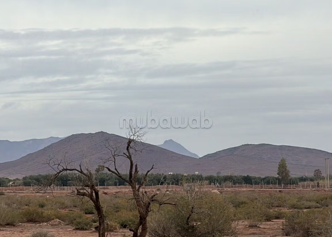 Plot 22000 m² for sale in Marrakech — Photo 7