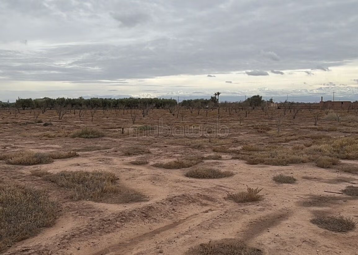 Plot 22000 m² for sale in Marrakech — Photo 9