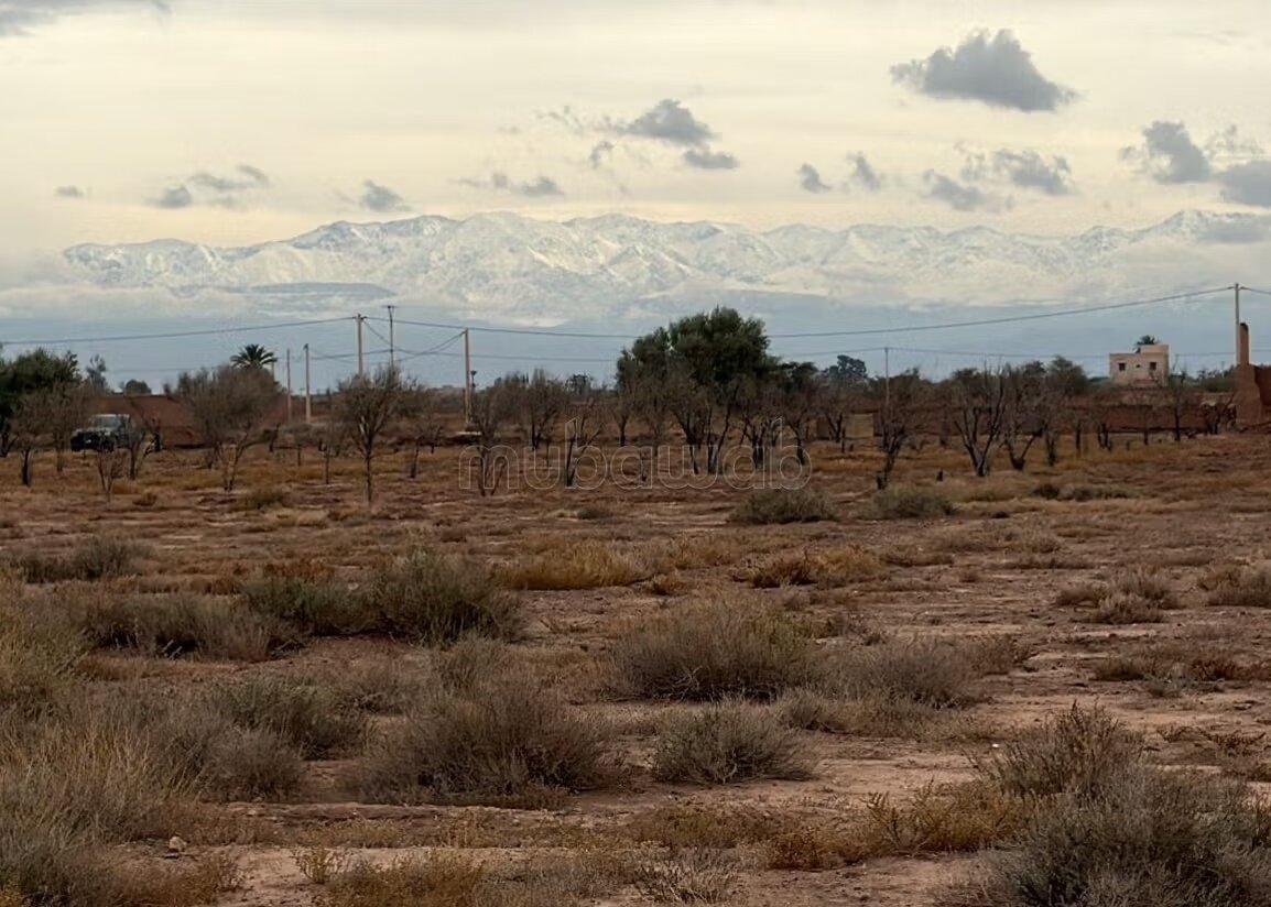Plot 22000 m² for sale in Marrakech — Photo 16